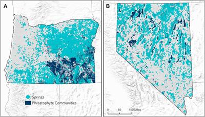 The vulnerability of springs and phreatophyte communities to groundwater level declines in Oregon and Nevada, 2002–2021
